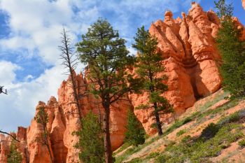 Bryce Canyon