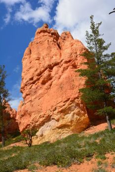 Bryce Canyon