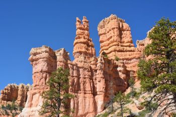 hoodoos Bryce Canyon