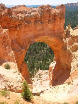 Natural Bridge