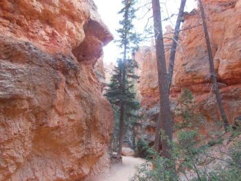 Navajo Queens Garden Loop