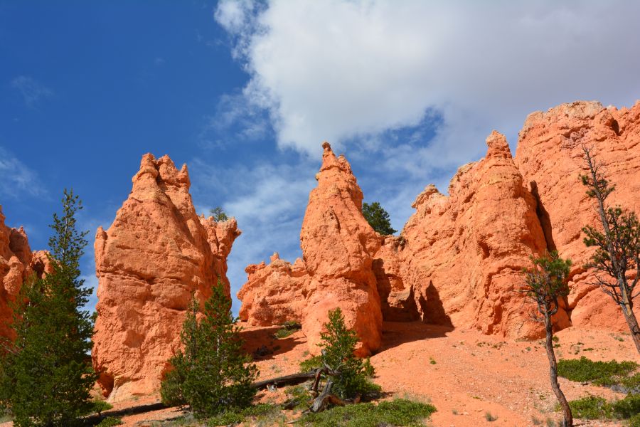 Bryce Canyon Rochers rouges