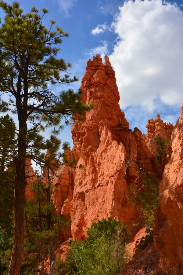 Bryce Canyon