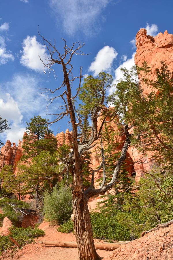 Bryce Canyon