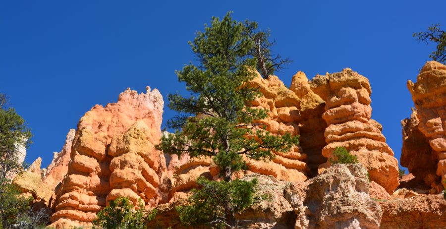 Bryce Canyon