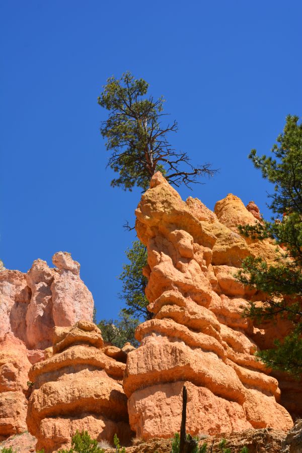 Bryce Canyon