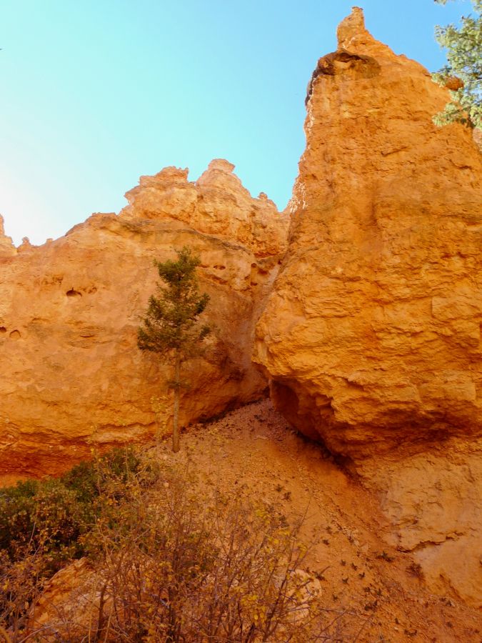 Bryce Canyon