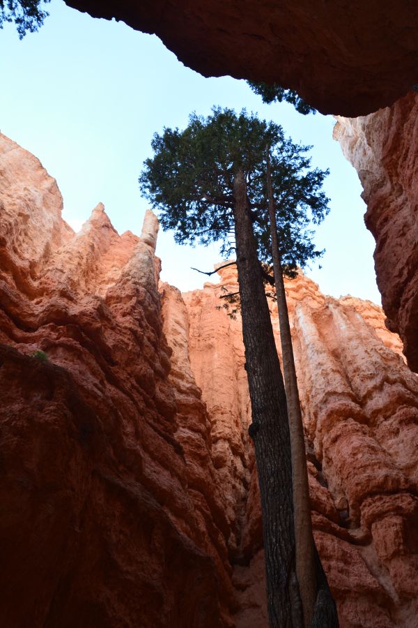 Navajo Queens Garden Loop