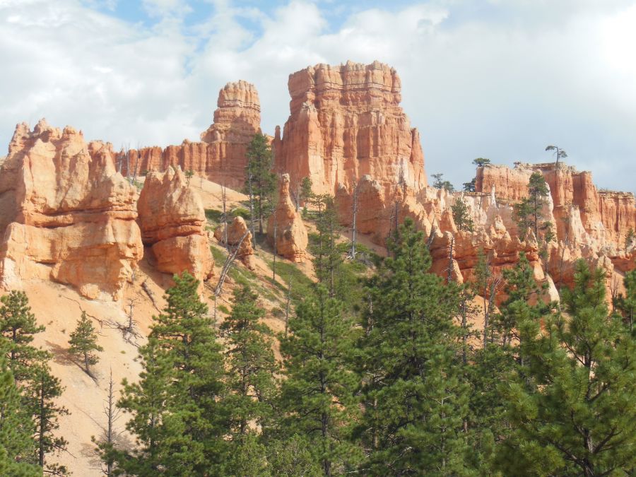 Navajo Queens Garden Loop