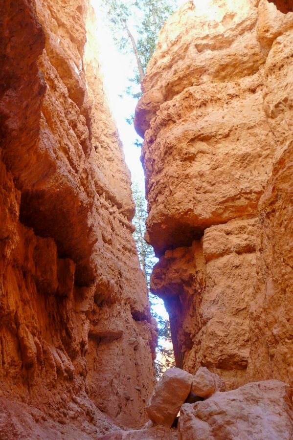 Navajo Queens Garden Loop