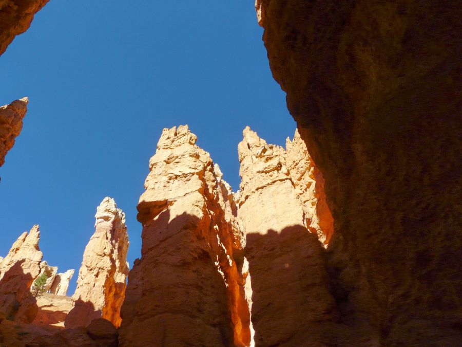 Hoodoos Wall Street