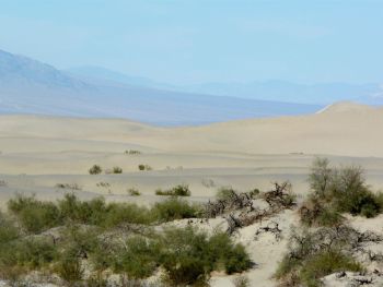 Mesquite Sand Dunes