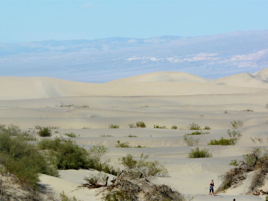 Mesquite Sand Dunes