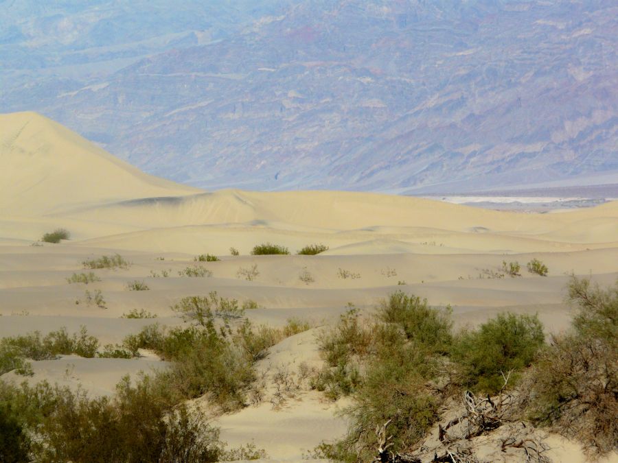 Mesquite Sand Dunes