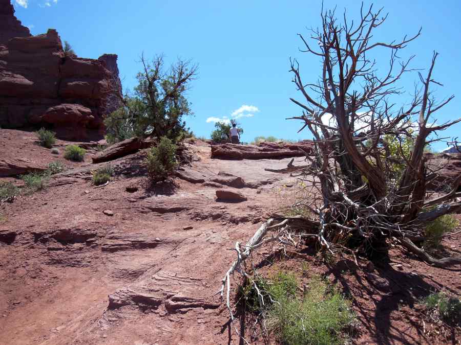 Fisher Towers sentier