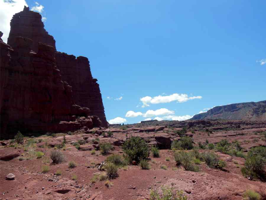 Fisher Towers