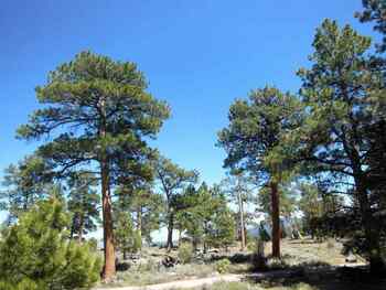Album photo Flaming Gorge National Recreation Area