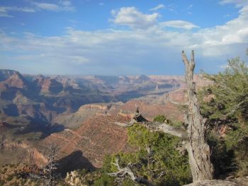 Album photo Grand Canyon National Park