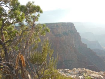 Lipan Point