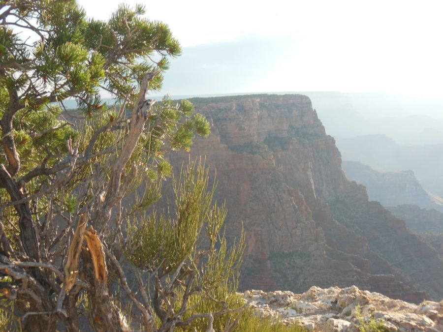 Lipan Point