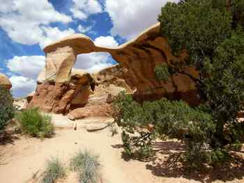 Metate Arch