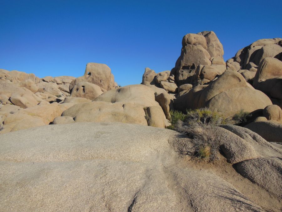 Joshua Tree Rochers