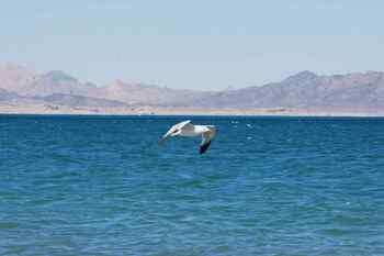 Album photo Lake Mead