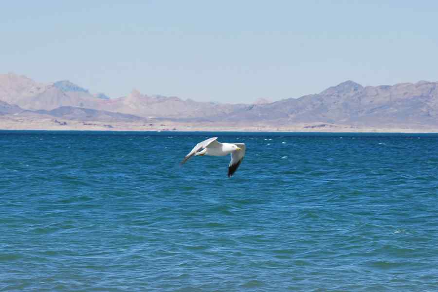 Lake Mead