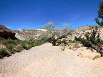 Album photo Little Wild horse Canyon