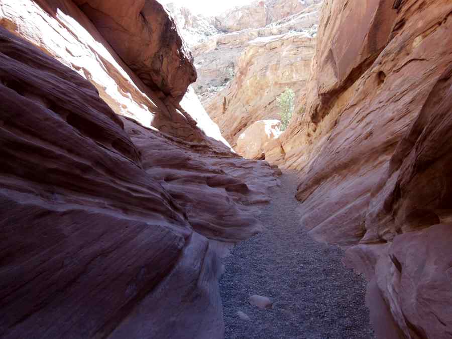 Dans le Little Wild horse Canyon