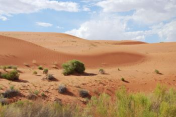 Dunes sables Monument Valley