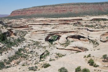 Natural Bridges