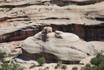 Natural Bridges