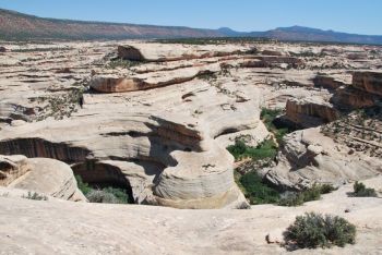 Album photo Natural Bridges National Monument