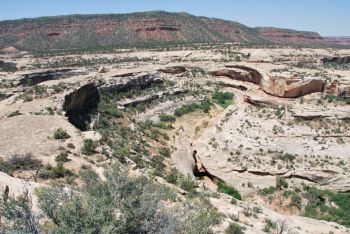 Natural Bridges