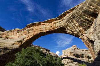Album photo Natural Bridges National Monument