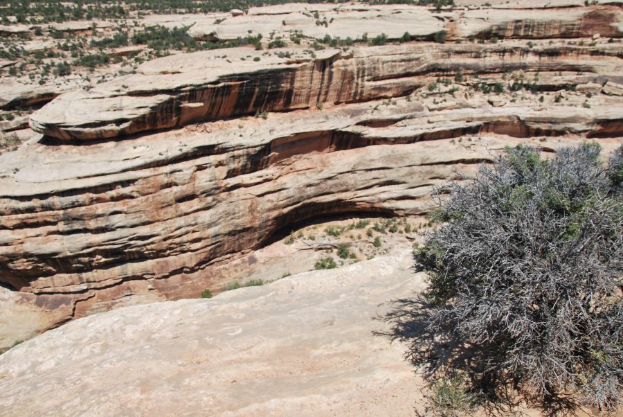 Natural Bridges