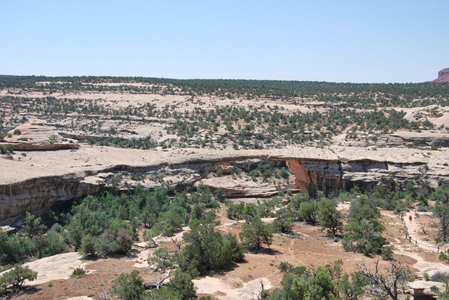 Natural Bridges