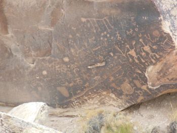 Album photo Petrified Forest National Park