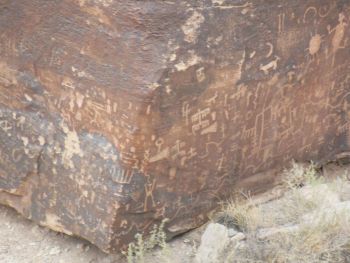 Petrified Forest Pétroglyphes 