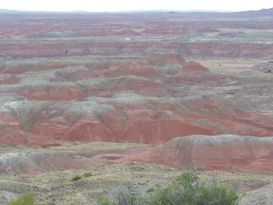 Painted Desert