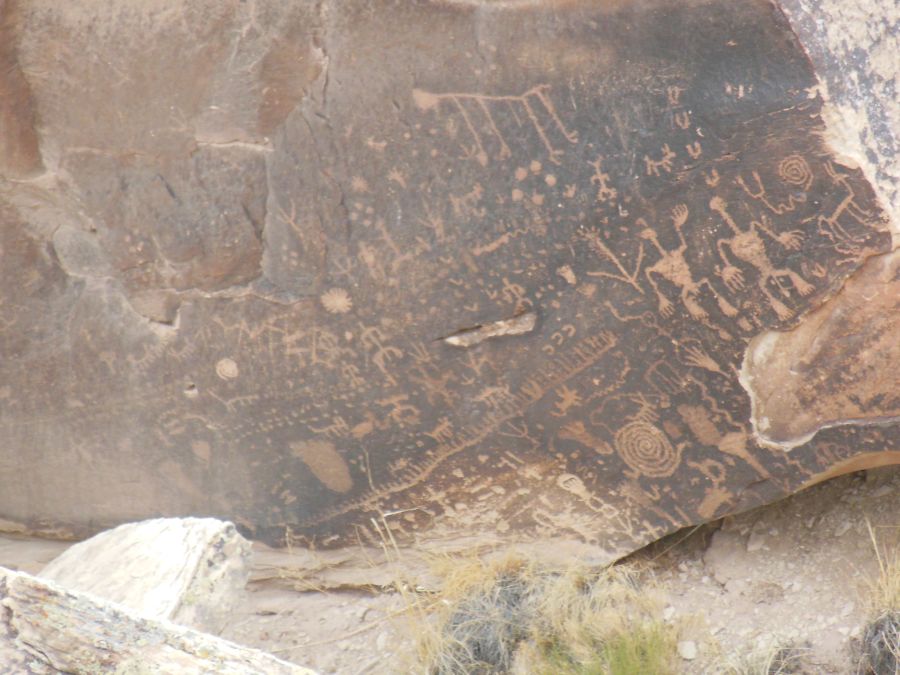 Pétroglyphes Petrified Forest