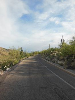 Route Saguaro