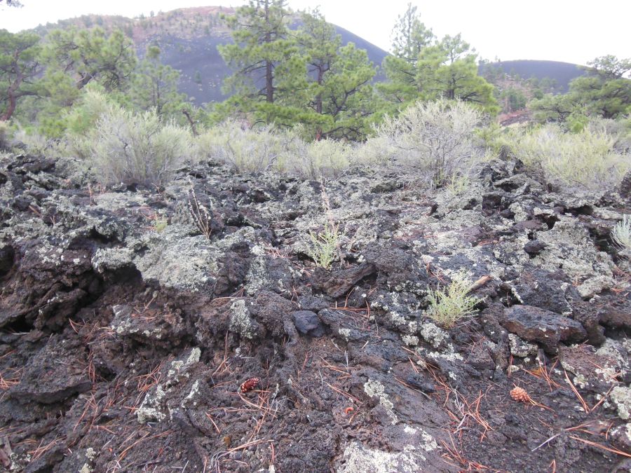 Sunset Crater