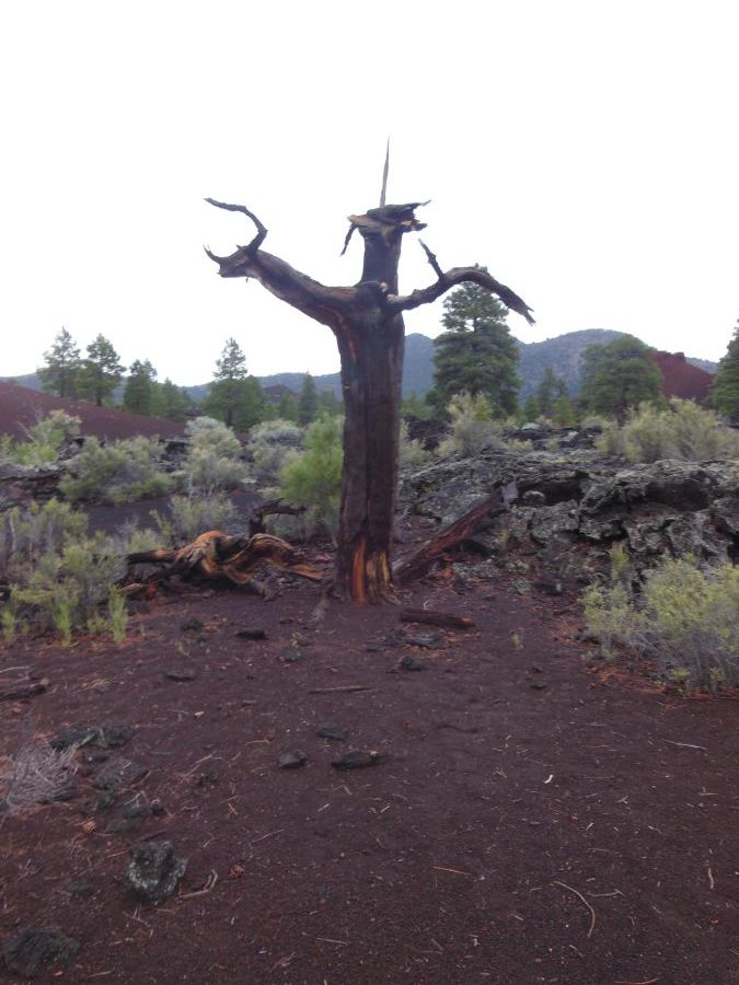 Sunset Crater