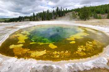 Beauty Pool