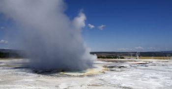 Geyser Yellowstone