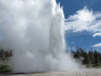 Geyser