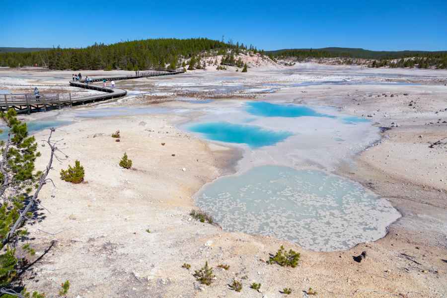 Colloidal Pool