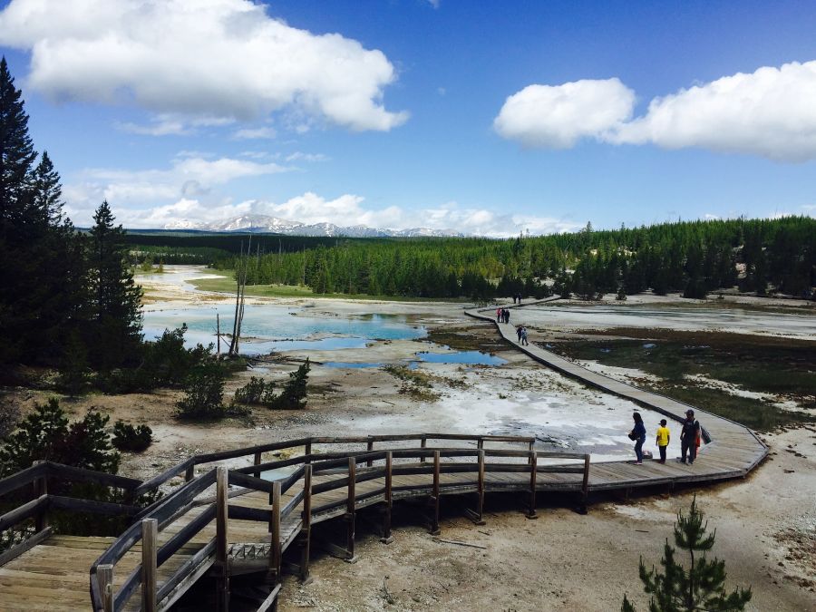 Yellowstone 